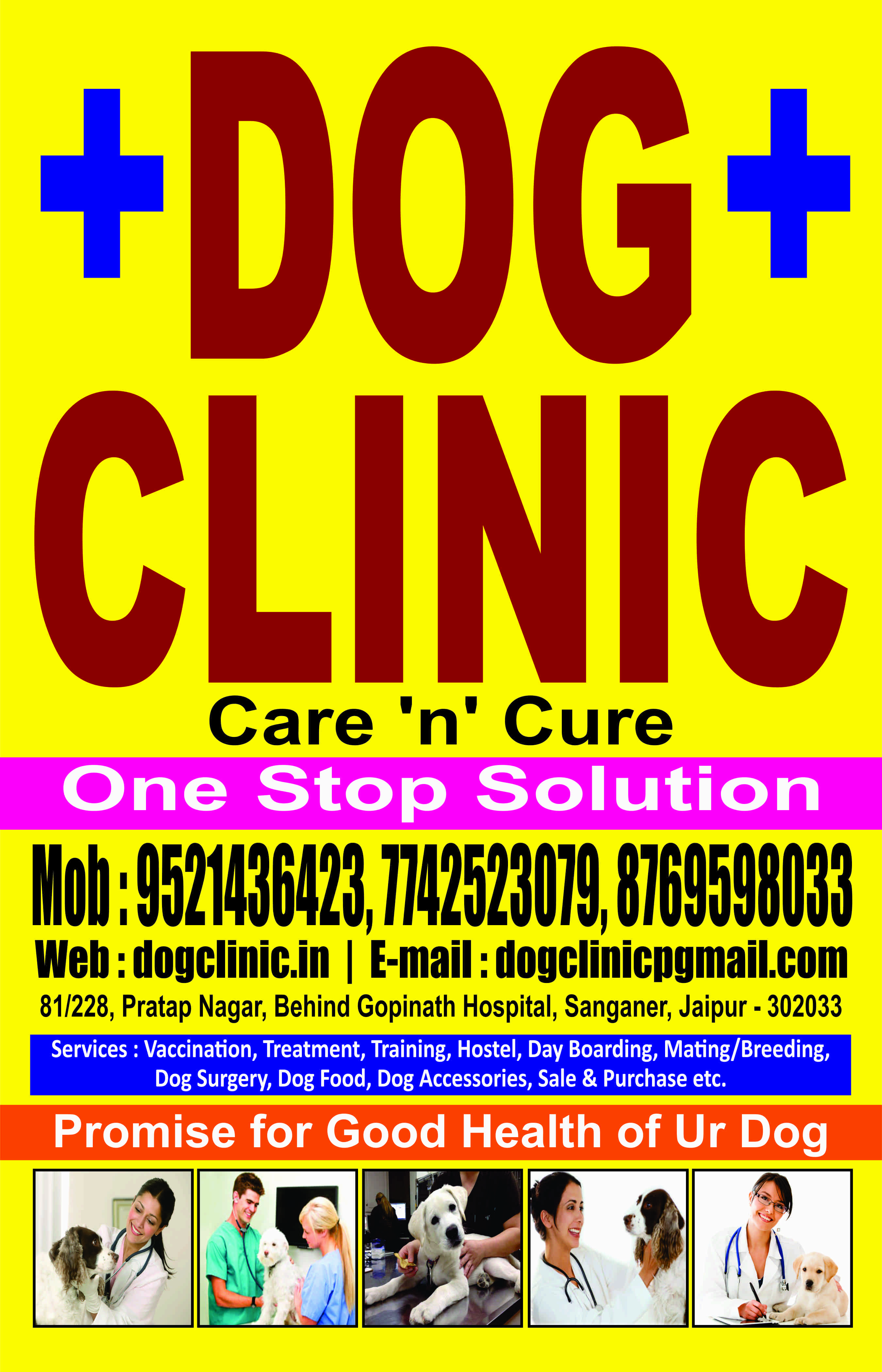Dog Clinic Pet Shop, Training, Hostel, Saloon in Partap Nagar, Dog
